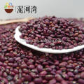 Bulk dark red kindey bean for sale pulses